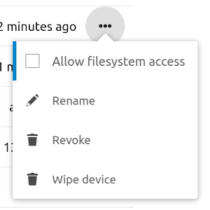 Allow filesystem access checkbox